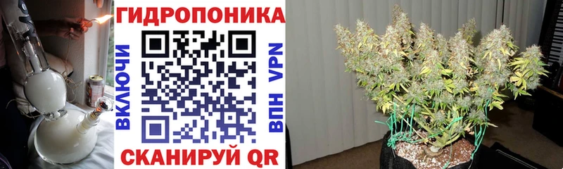 Купить закладку Куртамыш APVP Меф мяу мяу COCAIN