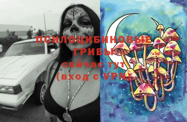 тгк Ступино