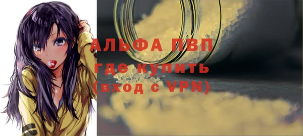 ГАЛЛЮЦИНОГЕННЫЕ ГРИБЫ Белокуриха