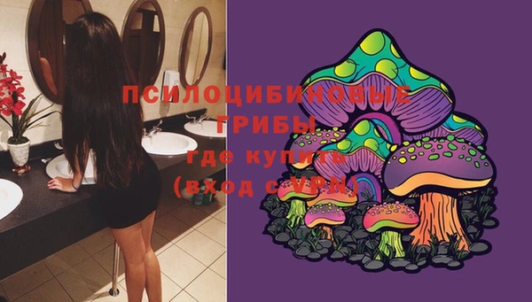 ГАЛЛЮЦИНОГЕННЫЕ ГРИБЫ Белокуриха