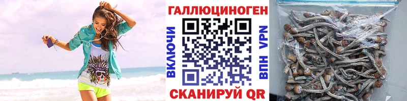 Псилоцибиновые грибы MAGIC MUSHROOMS Куртамыш